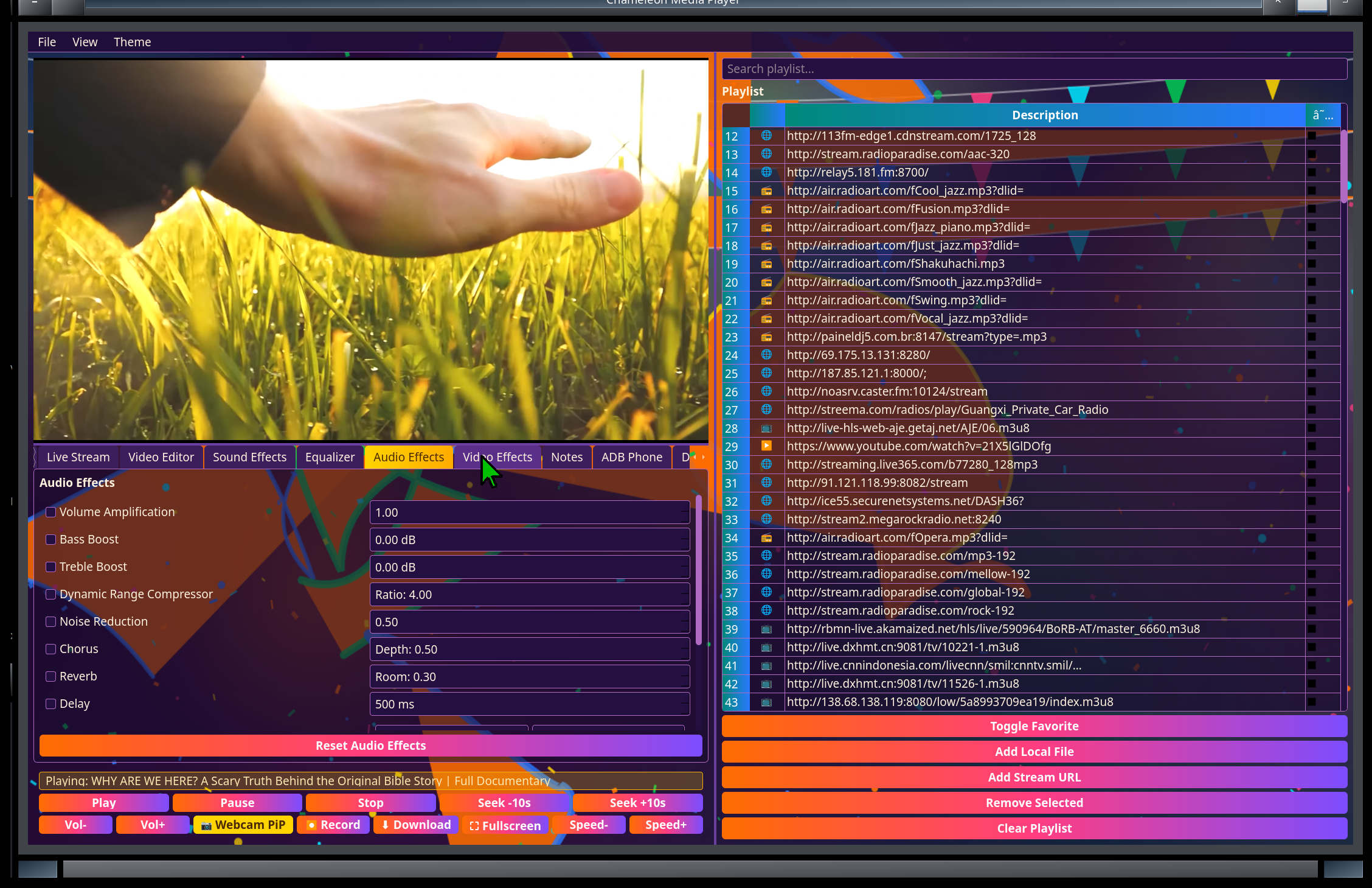 Chameleon Media Center — Audio Effects tab: amplification, bass and treble boost, compressor, noise reduction, chorus, reverb and delay